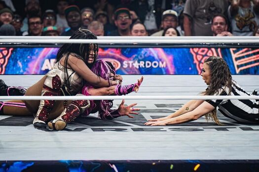 Full leaked Sasha banks page private photo