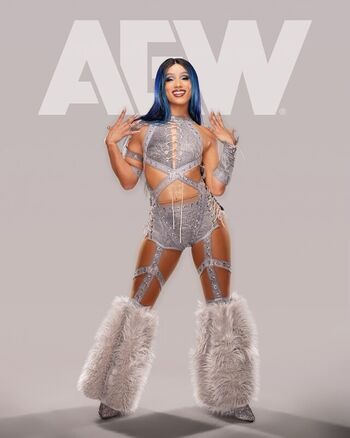 Full leaked Sasha banks private photo