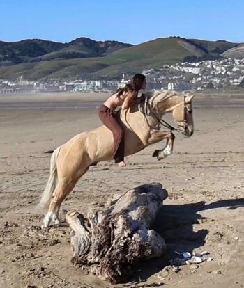 Full leaked Saskia herd private onlyfans photo