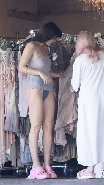Scout LaRue Willis