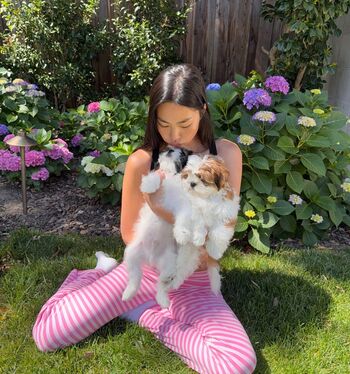 Full leaked Shannon zhao private photo