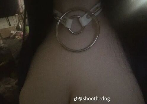 Full leaked Shoothedogs private photo