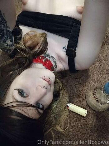 SilentfOxOwO