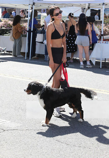 Full leaked Sophia hammons private onlyfans photo