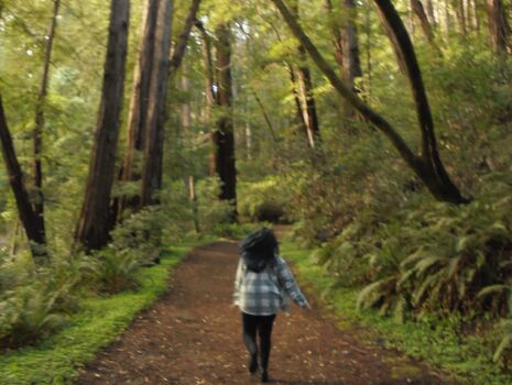 Full leaked Sophia phan private onlyfans photo