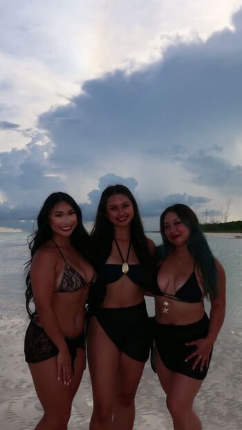 Staceyphan