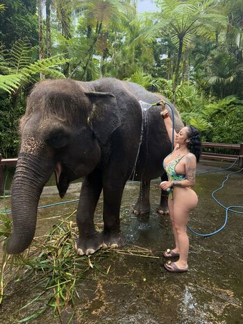 Full leaked Suleeeeey private onlyfans photo