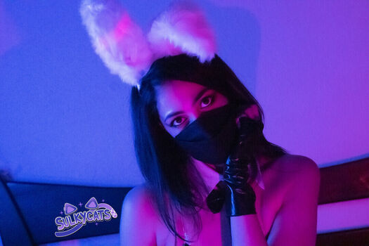 Full leaked Sulkycats asmr private onlyfans photo