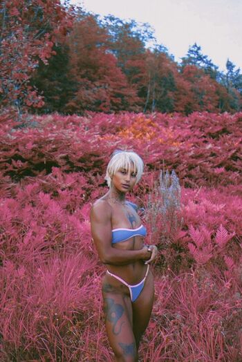 Talise Harris