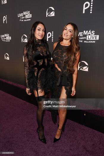 Full leaked The bella twins page private onlyfans photo