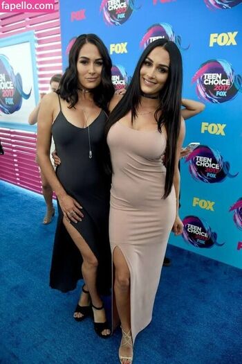 The Bella Twins