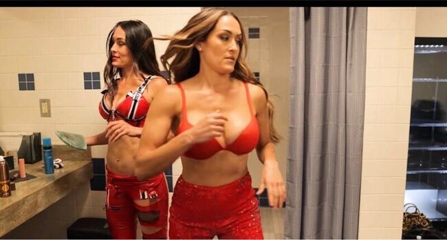 Full leaked The bella twins page private photo