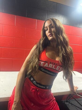 Full leaked The bella twins private photo
