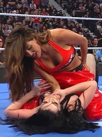 Full leaked The bella twins private photo