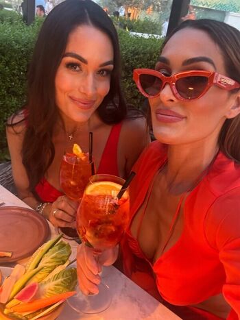 Full leaked The bella twins private photo