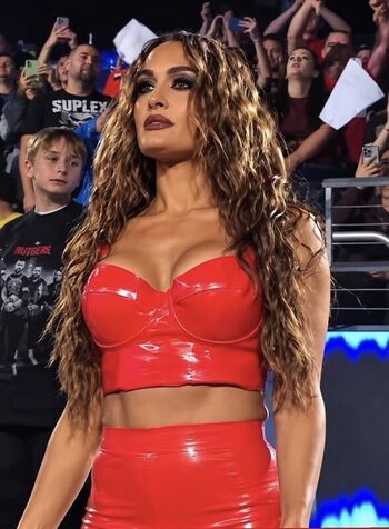 Full leaked The bella twins private photo