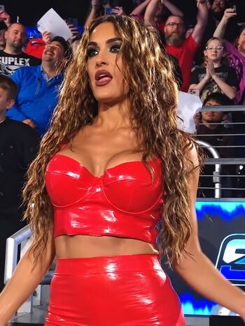 Full leaked The bella twins private photo