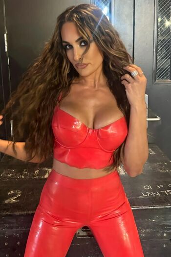 Full leaked The bella twins private photo