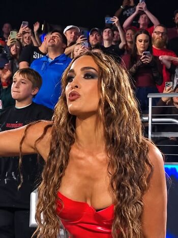 Full leaked The bella twins private photo