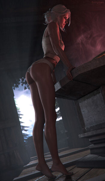 The Witcher