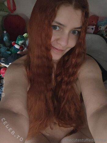 thecutestuffedanimal