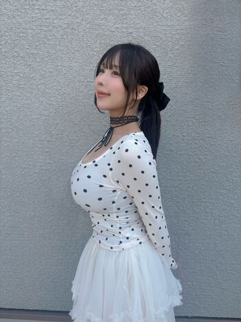 Towa Rabbit