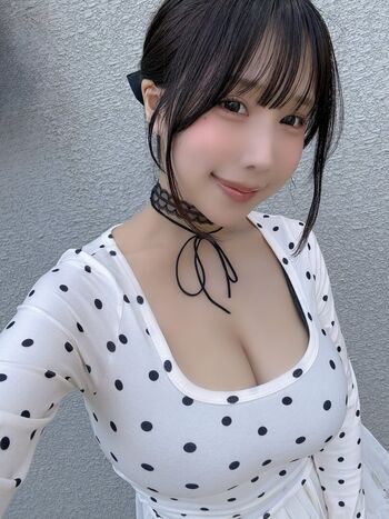 Towa Rabbit