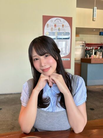 Towa Rabbit