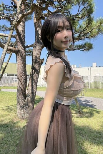 Towa Rabbit