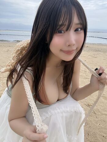 Towa Rabbit