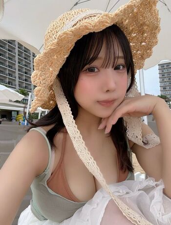 Towa Rabbit