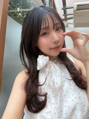 Towa Rabbit
