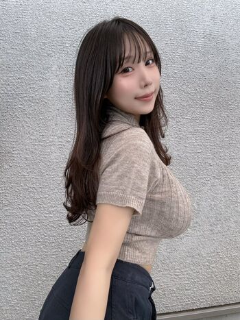 Towa Rabbit