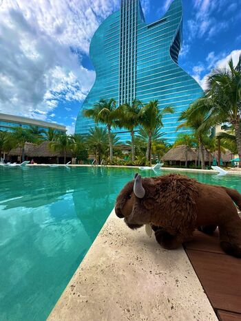 Full leaked Tricia whitaker private onlyfans photo