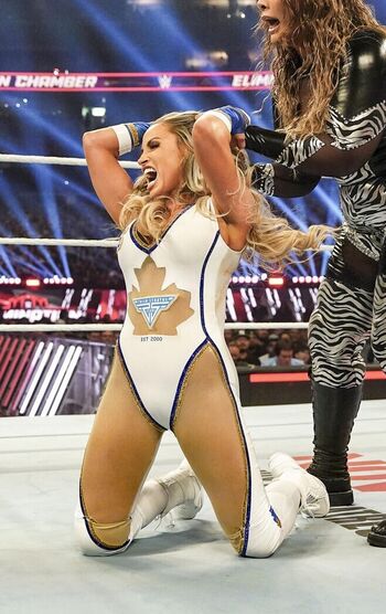 Full leaked Trish stratus private photo