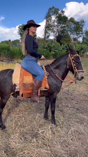 Full leaked Vanessa araujo private photo