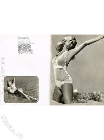 Full leaked Vintage erwachsenen zeitschriften page private onlyfans photo