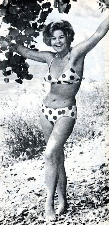 Vintage Starlets