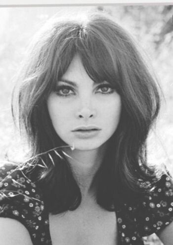 Vintage Starlets