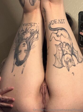 Full leaked Violetisawallflower private onlyfans photo