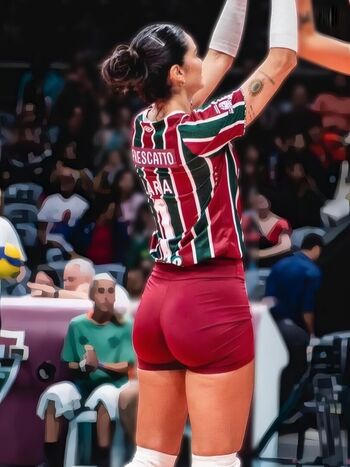 Volei Brasil