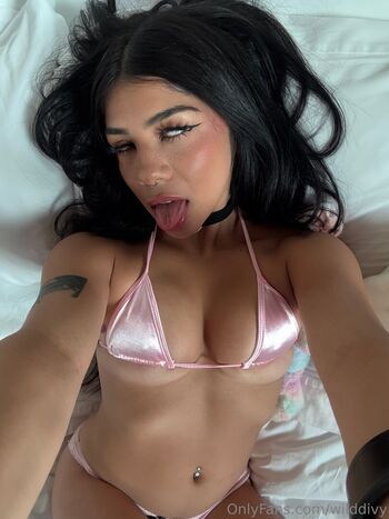 wilddivy