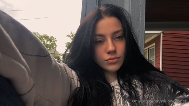 Willowcooper