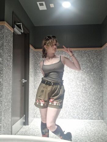 WindexNoises