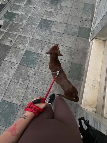 Full leaked Zeynep serter private photo