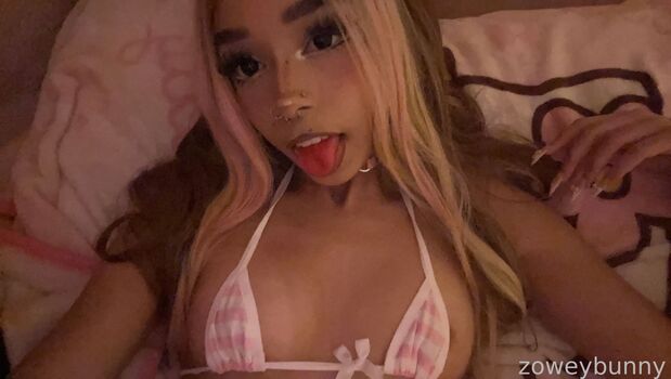 Zoweybunny